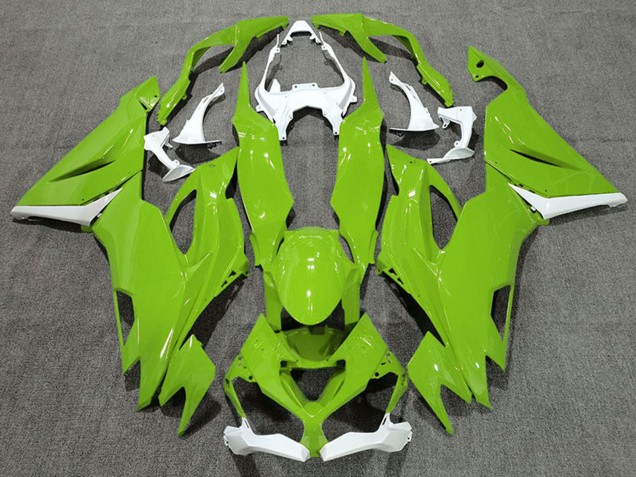 2019-2022 Kawasaki ZX6R Motorcycle Fairings - White Green Canada