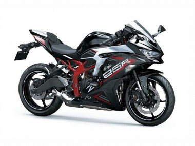 Shop 2019-2025 Kawasaki ZX25R ZX-25R Motorcycle Fairings - Silver Red Black Canada