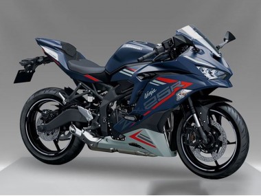 Shop 2019-2025 Kawasaki ZX25R ZX-25R Motorcycle Fairing - Blue Red Grey Canada