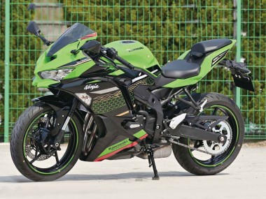 Shop 2019-2025 Kawasaki ZX25R ZX-25R Motorcycle Fairings - Green Black Red Honeycomb Canada