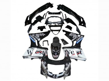 Shop 1998-2003 Kawasaki ZZR600 Motorcycle Fairings - Glossy Black White West Canada