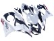 2023-2026 Kawasaki ZX6R Motorcycle Fairings - Pearl White Black Red Canada