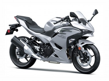 Shop 2024-2025 Kawasaki Ninja 500 EX500R Motorcycle Fairings - Metallic Silver Ninja Canada