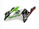 2004-2005 Honda CBR1000RR Motorcycle Fairings - White Green Glossy Black Hannspree 52 Canada