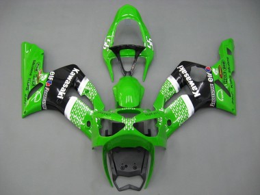 Shop 2003-2004 Kawasaki ZX6R Motorcycle Fairings - Green White Black Elf Bridgestone Canada