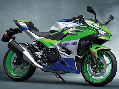 Shop 2024-2025 Kawasaki Ninja 500 EX500R Motorcycle Fairings - Silver Green Blue Canada