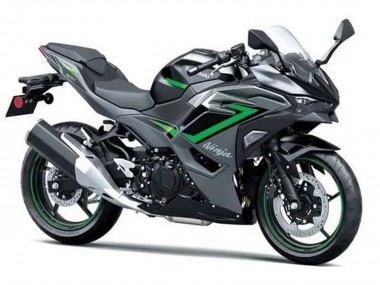 Shop 2024-2025 Kawasaki Ninja 500 EX500R Motorcycle Fairings - Black Grey Green Canada