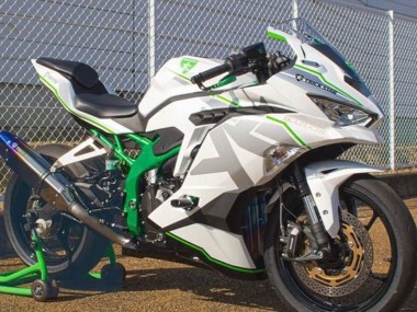 Shop 2019-2025 Kawasaki ZX25R ZX-25R Motorcycle Fairings - White Silver Green Canada