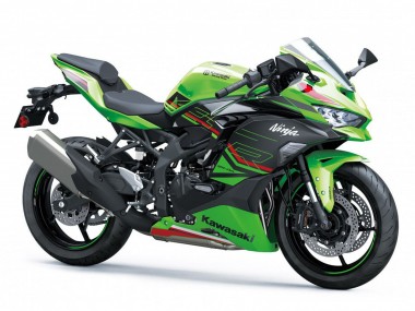 Shop 2019-2026 Kawasaki ZX4R ZX-4RR Motorcycle Fairings - Green Black Red White Canada