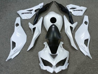 Shop 2019-2026 Kawasaki ZX4R ZX-4RR Motorcycle Fairings - White Matte Black Canada