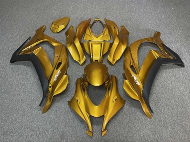 2016-2019 Gold with Ninja White ZX10R Fairings